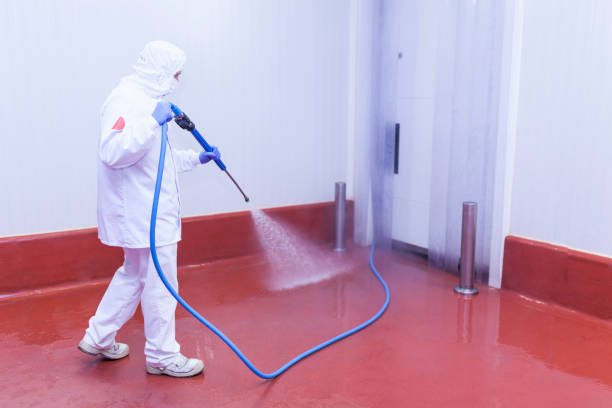 Best Driveway Pressure Washing  in Shelby, MI
