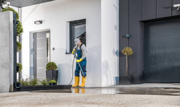 Best Paint Preparation  in Shelby, MI